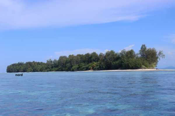 Raja Ampat - Tabari Dive Lodge 3