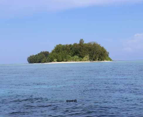 Raja Ampat - Tabari Dive Lodge 4