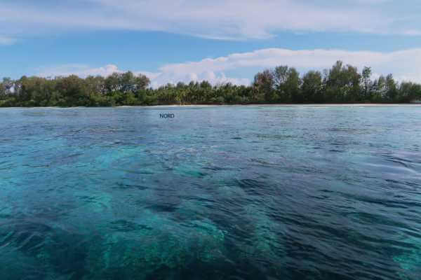 Raja Ampat - Tabari Dive Lodge 6