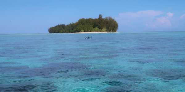 Raja Ampat - Tabari Dive Lodge 7