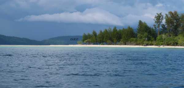 Raja Ampat - Tabari Dive Lodge 8