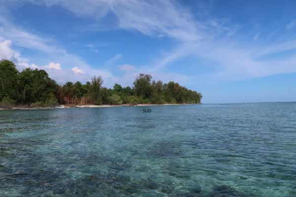 Raja Ampat - Tabari Dive Lodge 9