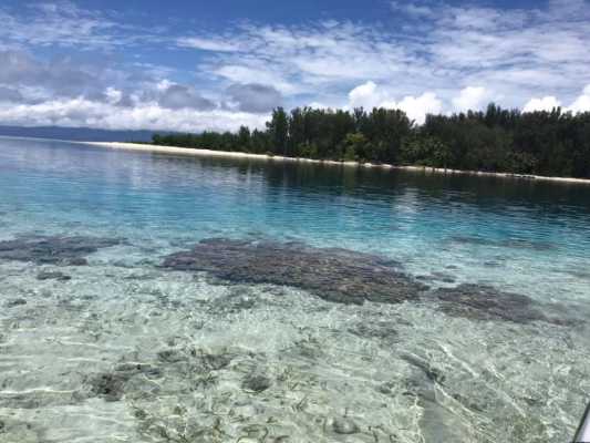 Raja Ampat - Tabari Dive Lodge 12