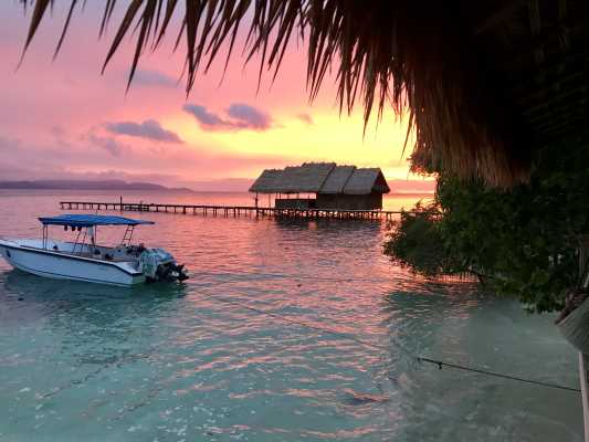 Raja Ampat - Tabari Dive Lodge 14
