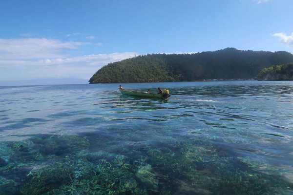 Raja Ampat - Tabari Dive Lodge 15