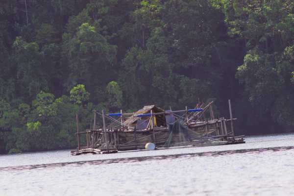 Raja Ampat - Tabari Dive Lodge 18