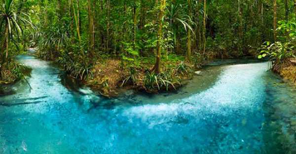 Raja Ampat - Kalibiru river 1
