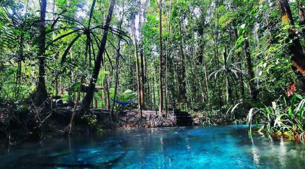 Raja Ampat - Kalibiru river 5