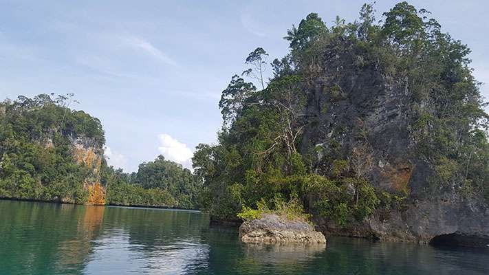 Raja Ampat - Tabari Dive Lodge 1