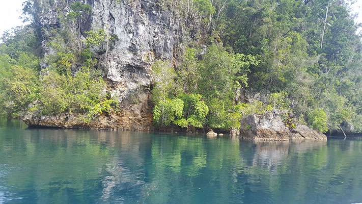 Raja Ampat - Tabari Dive Lodge 2