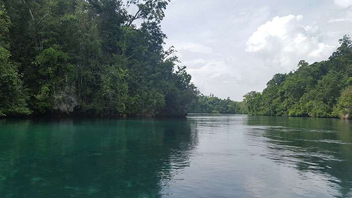 Raja Ampat - Tabari Dive Lodge 3