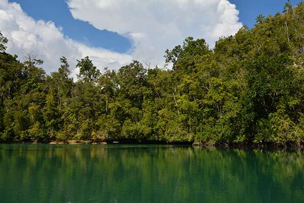 Raja Ampat - Tabari Dive Lodge 8