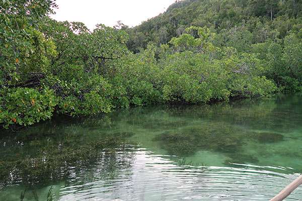 Raja Ampat - Tabari Dive Lodge 12