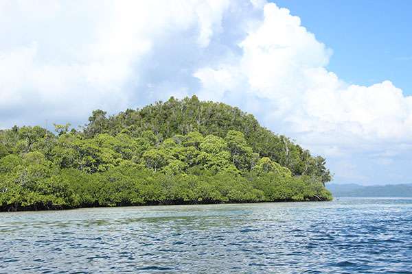 Raja Ampat - Tabari Dive Lodge 16