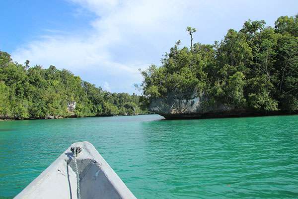 Raja Ampat - Tabari Dive Lodge 18