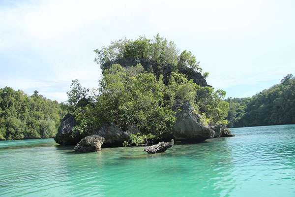 Raja Ampat - Tabari Dive Lodge 20