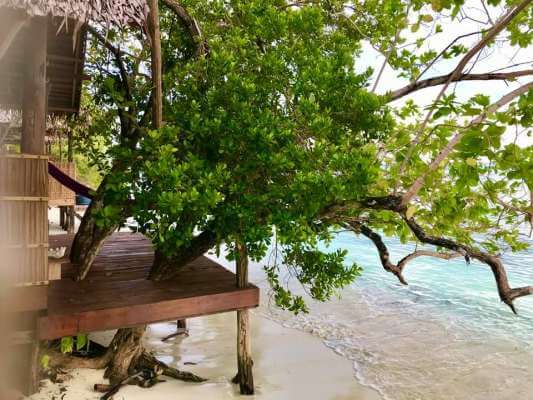 Bungalow - Tabari Dive Lodge 15