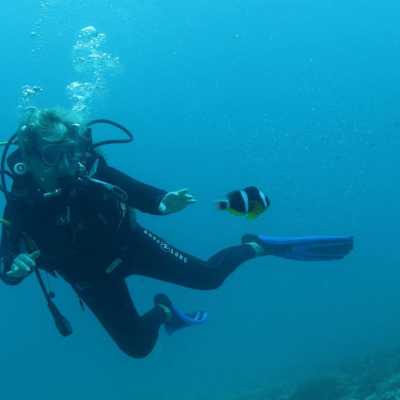 Who are we - Tabari Dive Lodge 10